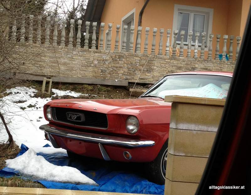 mustang