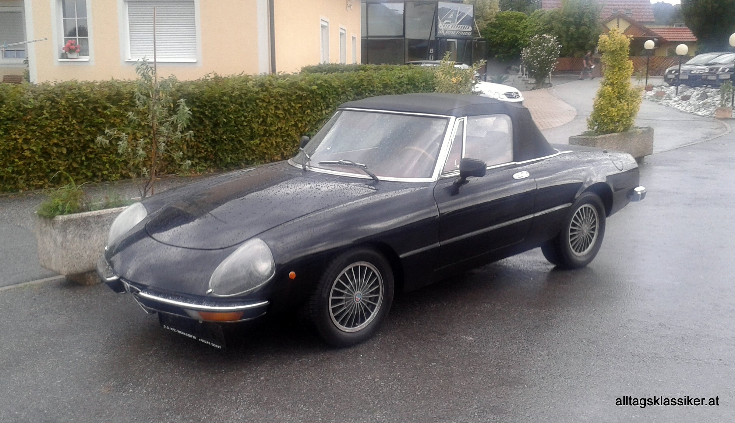 alfa-spider (3)