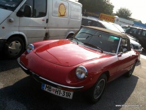 alfa-spider-fastback