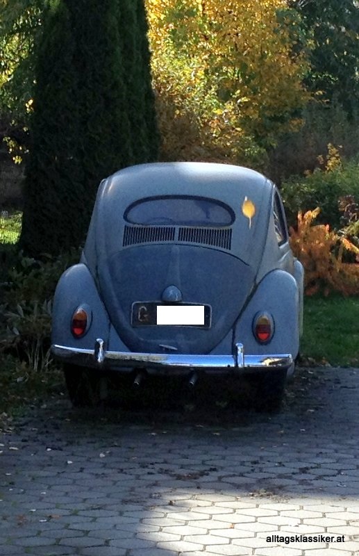 volkswagen-kaefer-schwarzetafeln