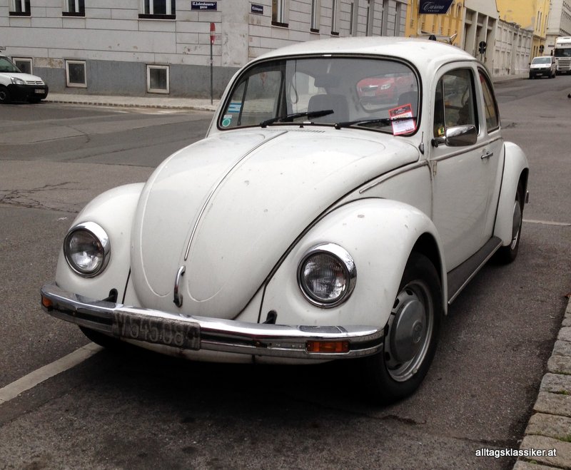 vw-kaefer-doppelpack (2)